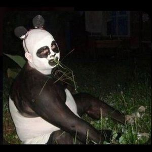 Meet your Posher, Phoebe